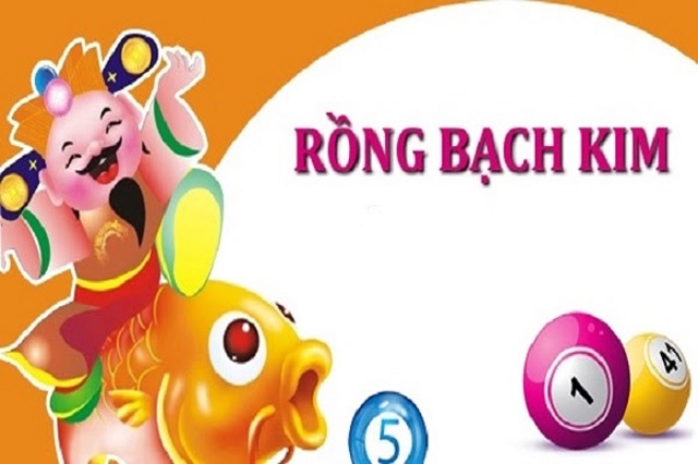 rong bach kim chinh xac 100