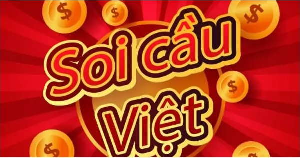 soi cau viet