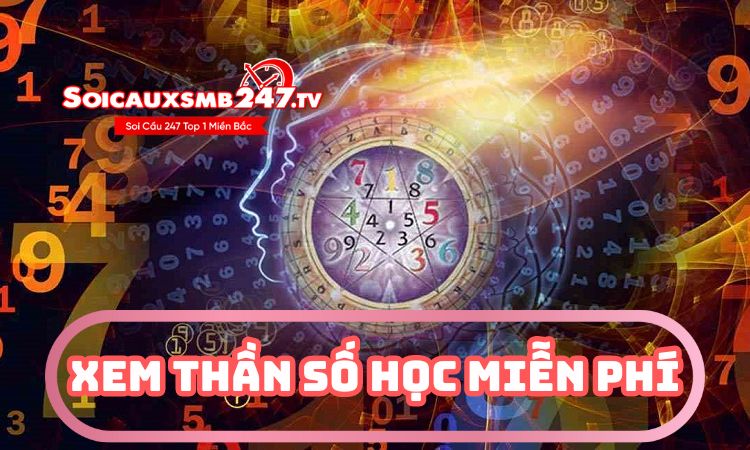 Xem thần số học miễn phí – Giải mã con số để thành công hơn